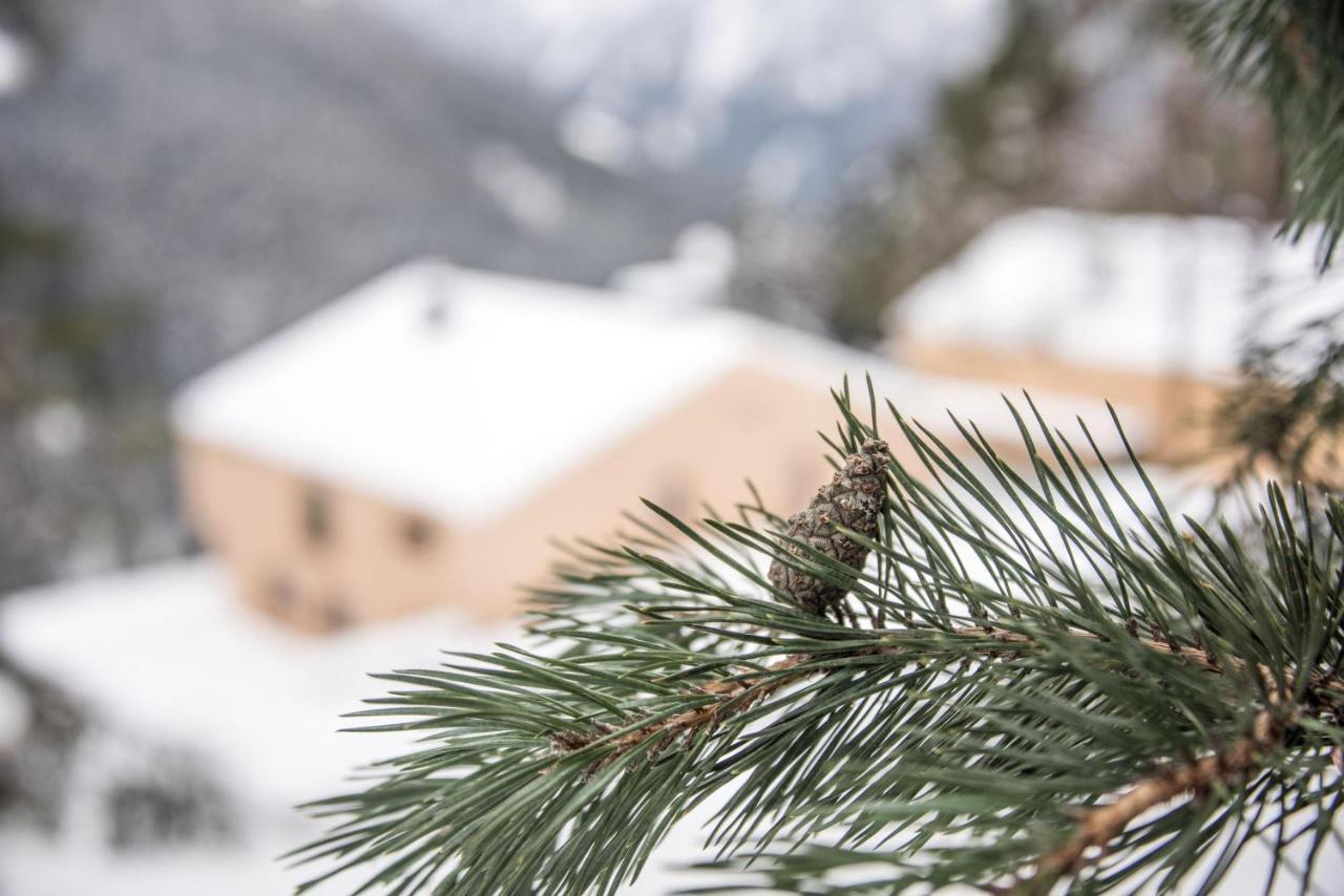 Archehof Hochzirm Lodge Anna カンポ・トゥーレス エクステリア 写真